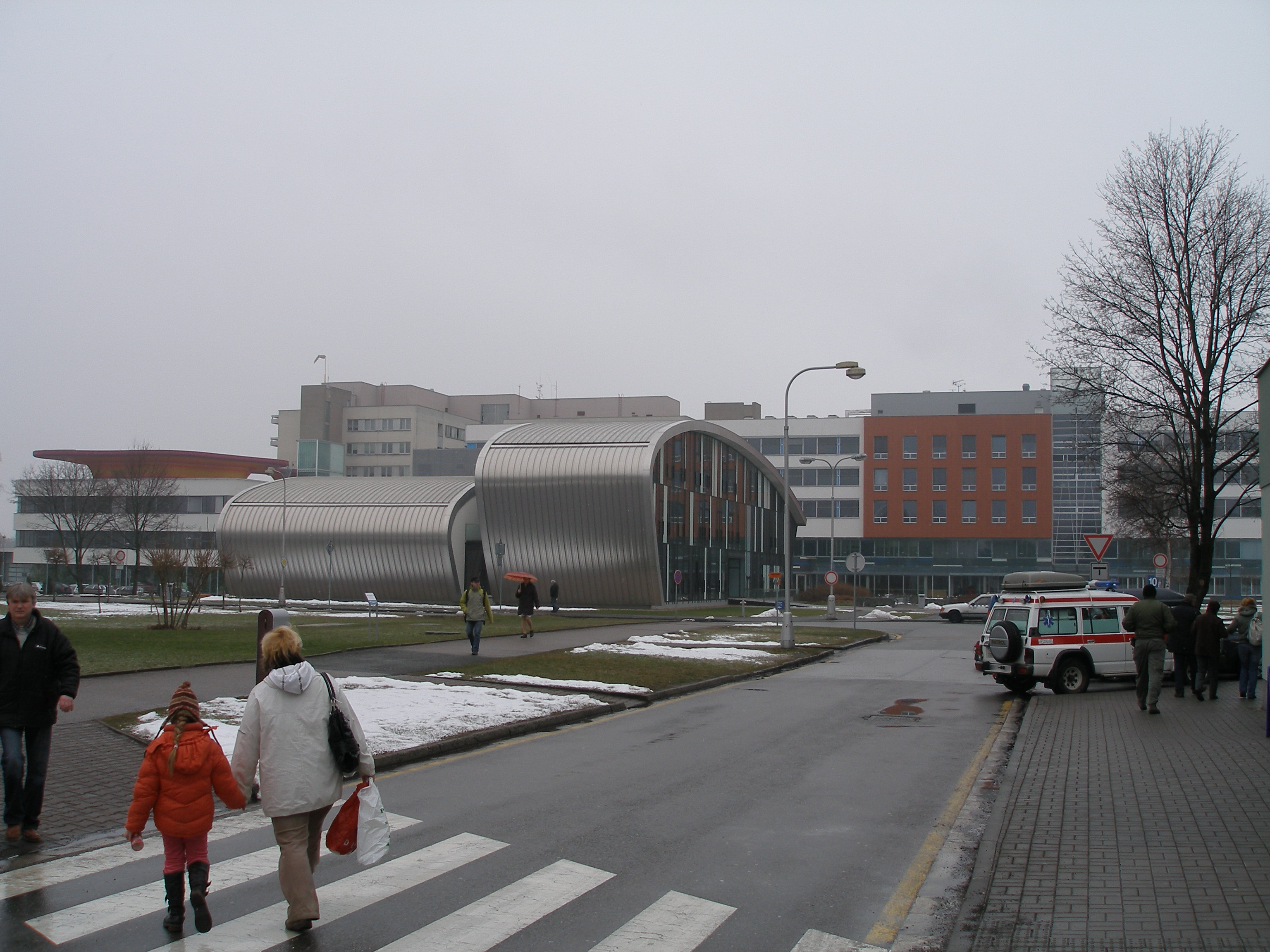 P2265799.JPG