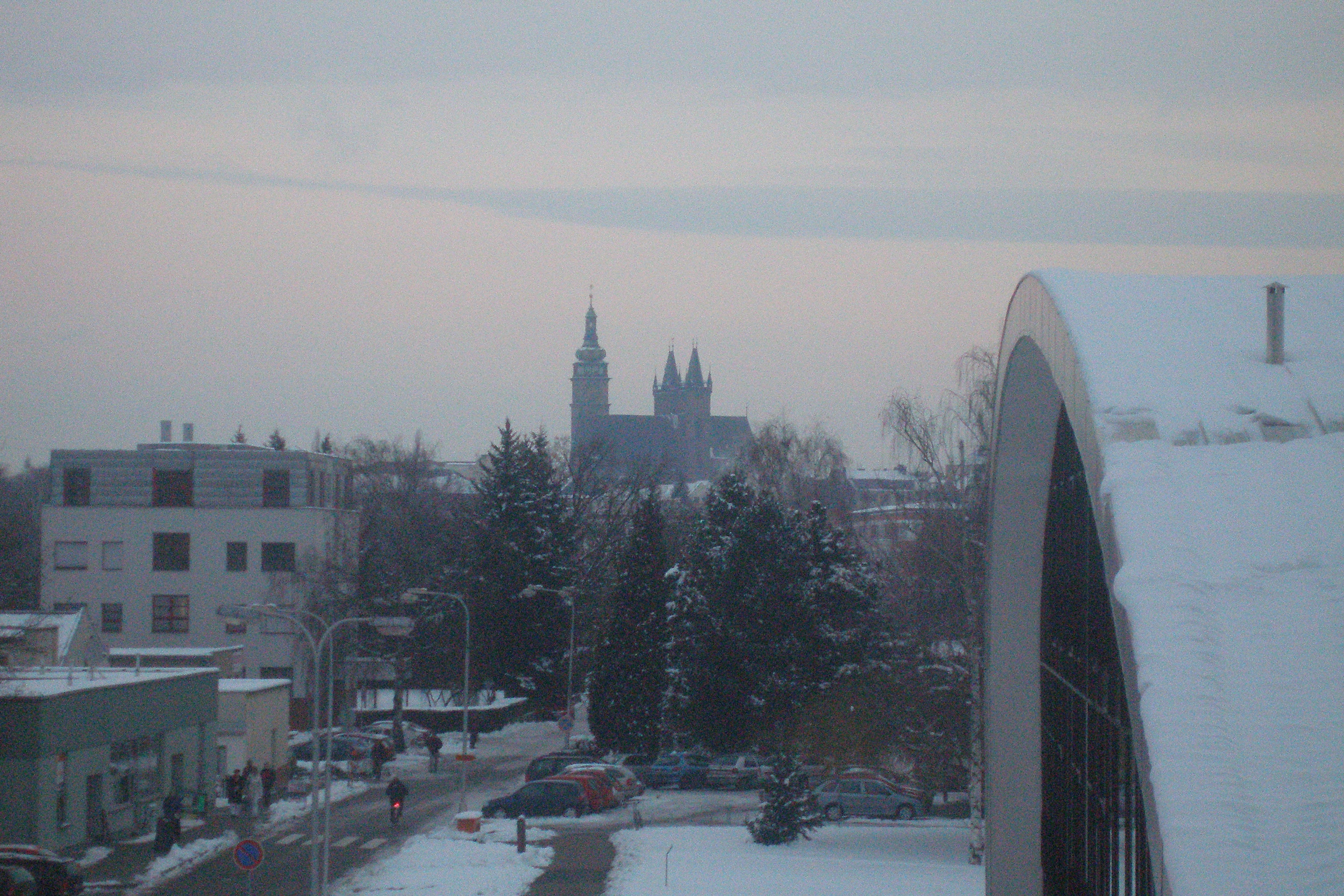P2185765.JPG