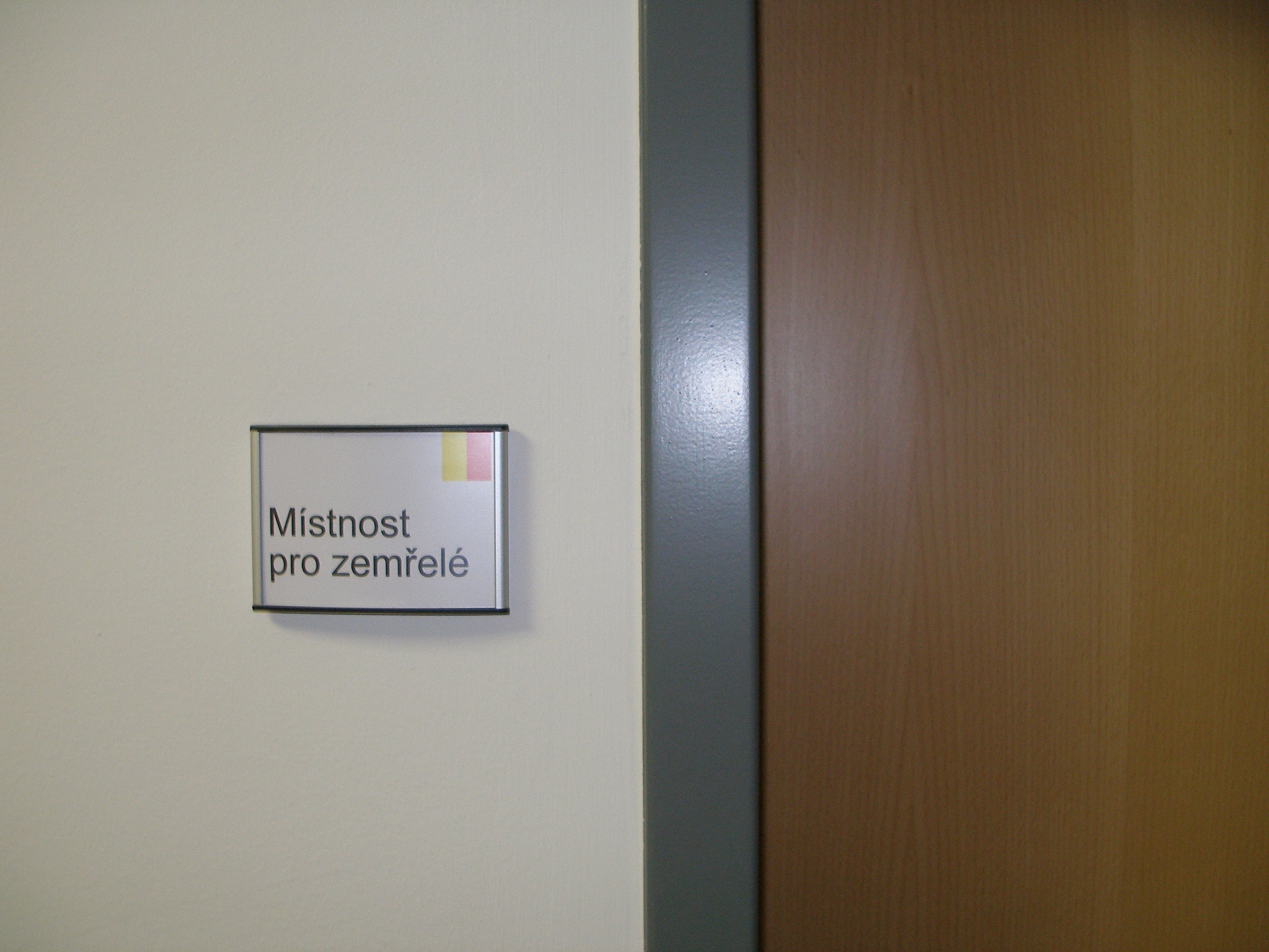 P2285832.JPG