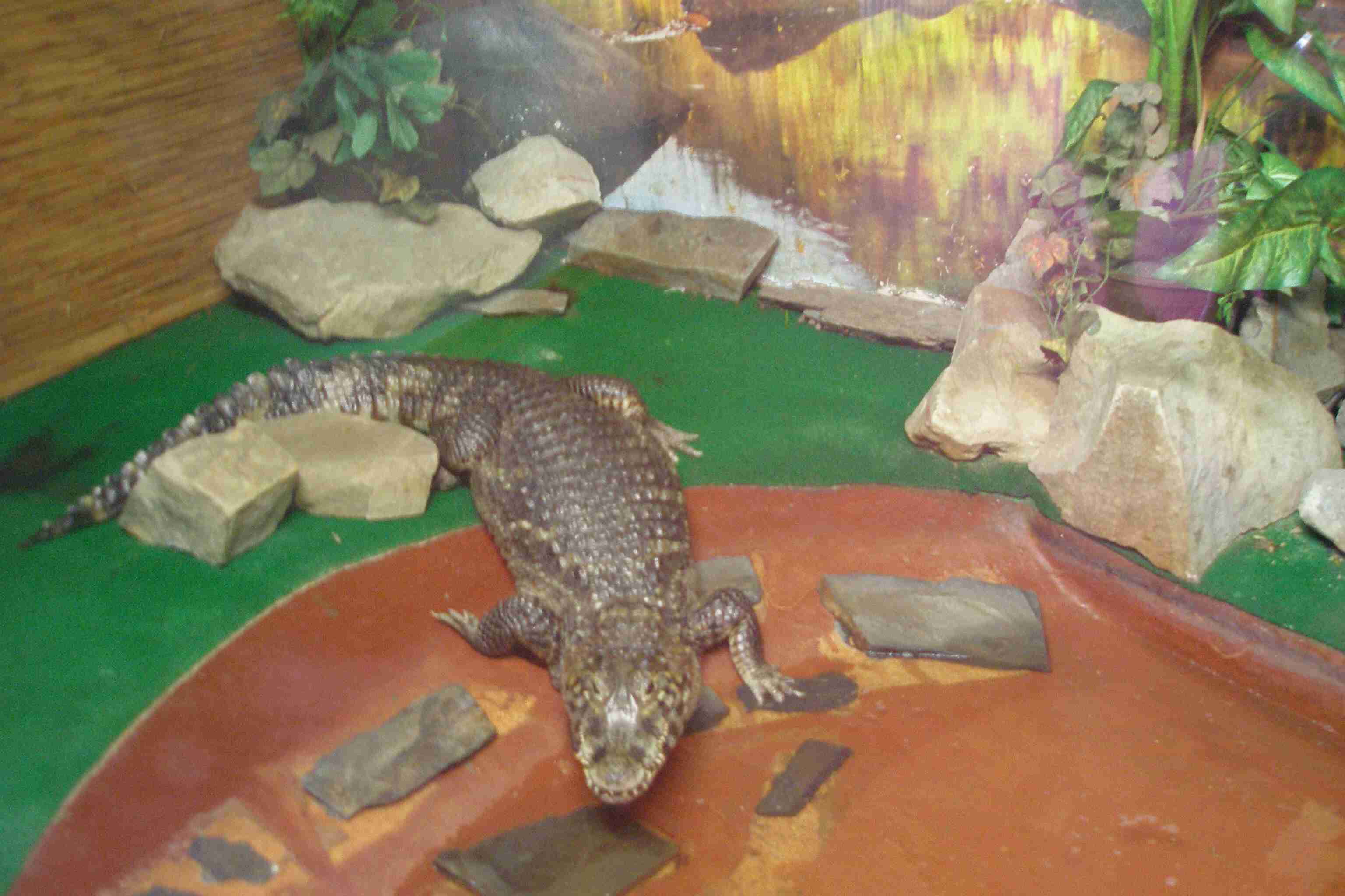 PA057509 (1).jpg